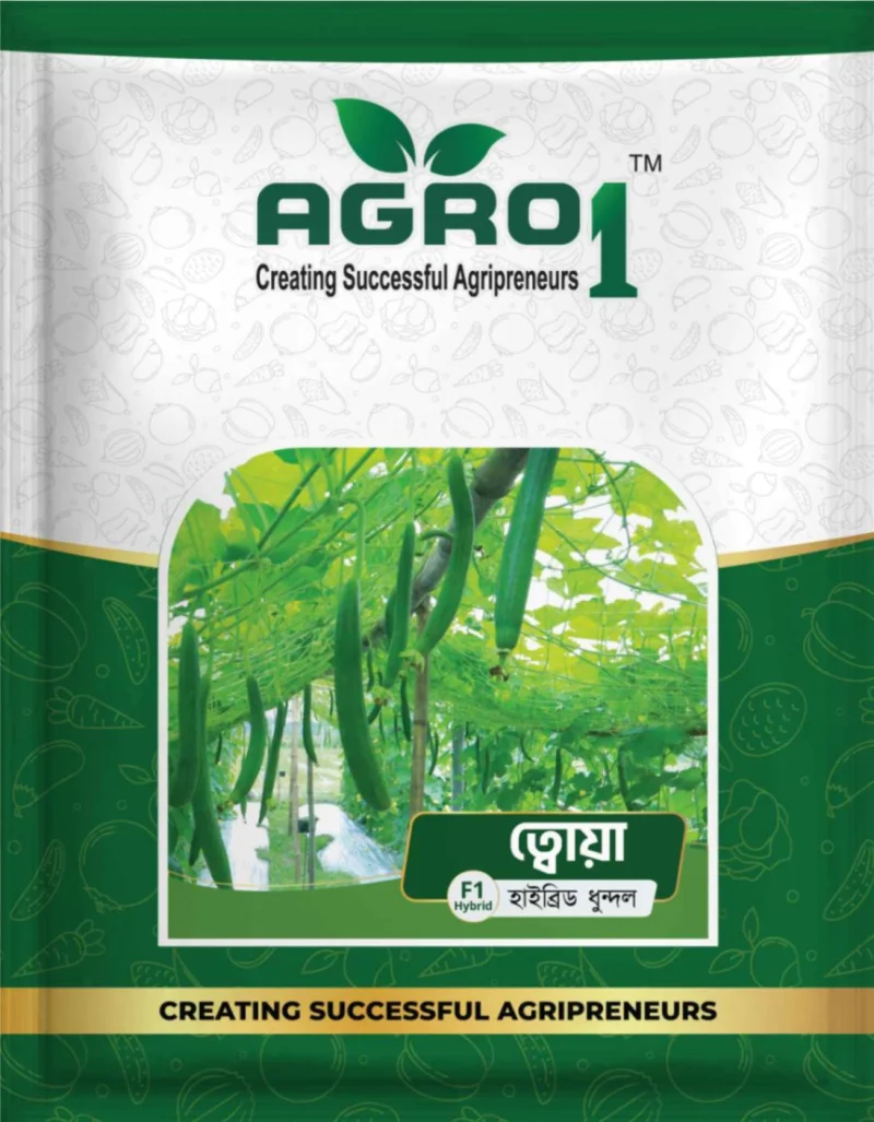 Hybrid Sponge gourd Towa