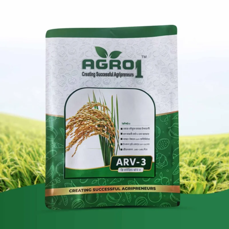 Hybrid Paddy ARV-3